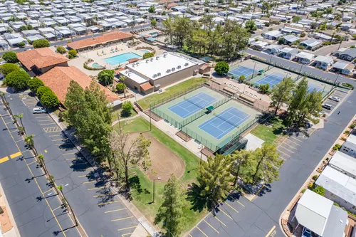 Arizona Citrus Grove in Mesa, Arizona